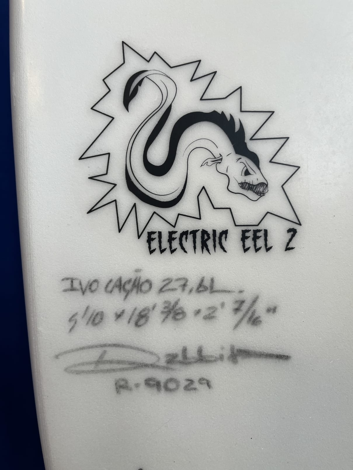 ORG Electric Eel 2 5'10'' | 27.6 L