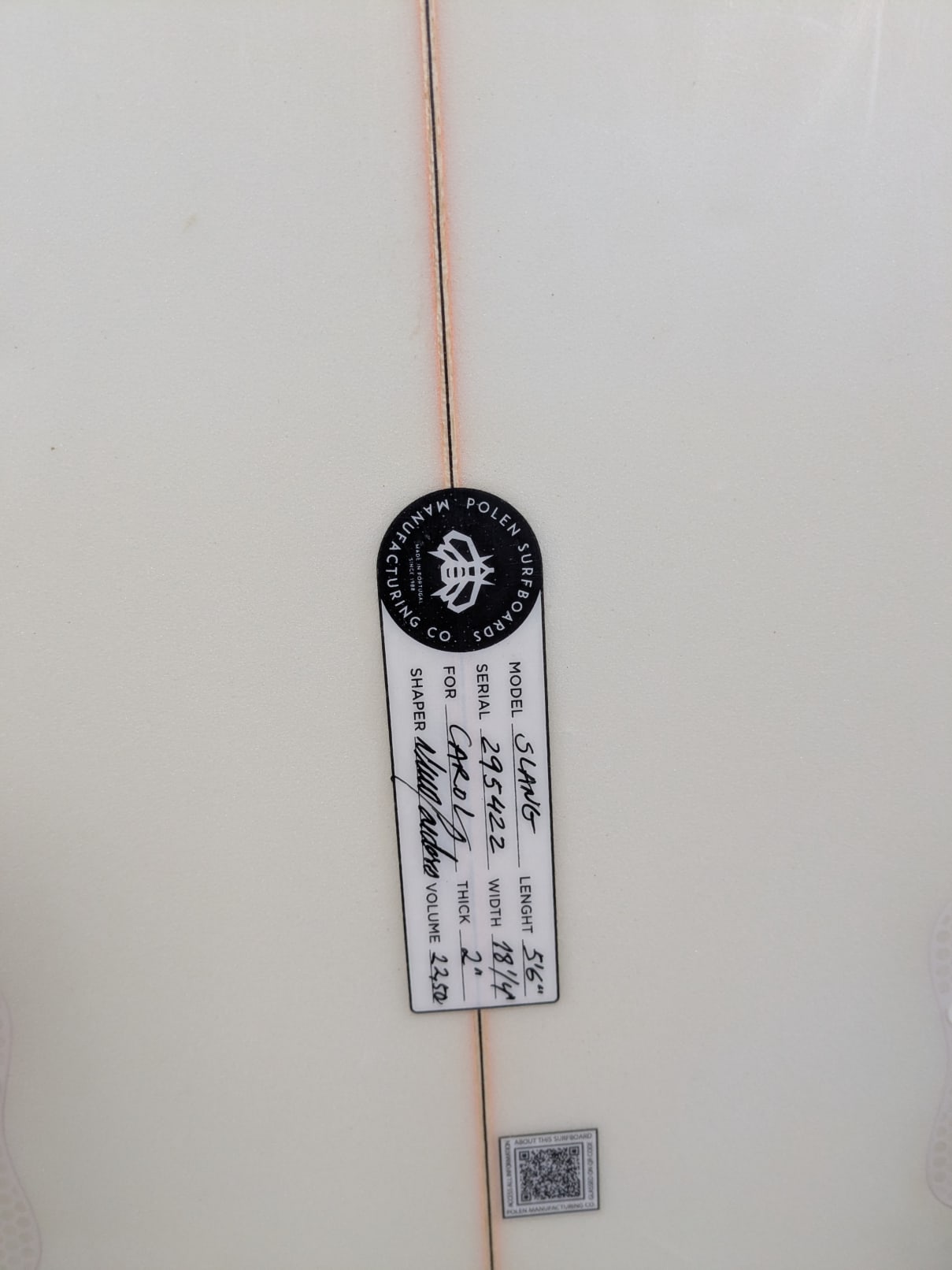 Polen Slang 5'6'' | 22.5 L