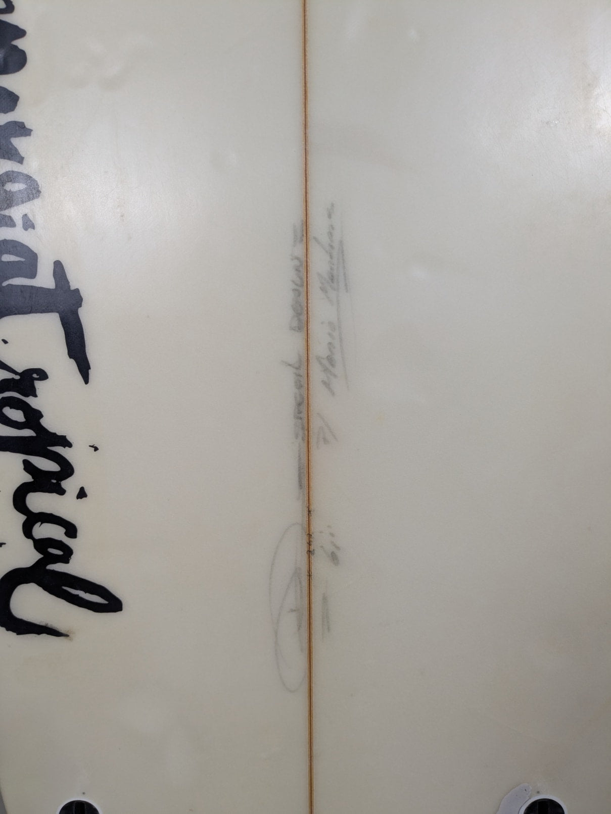 Energia Tropical 6'1'' | 31 L