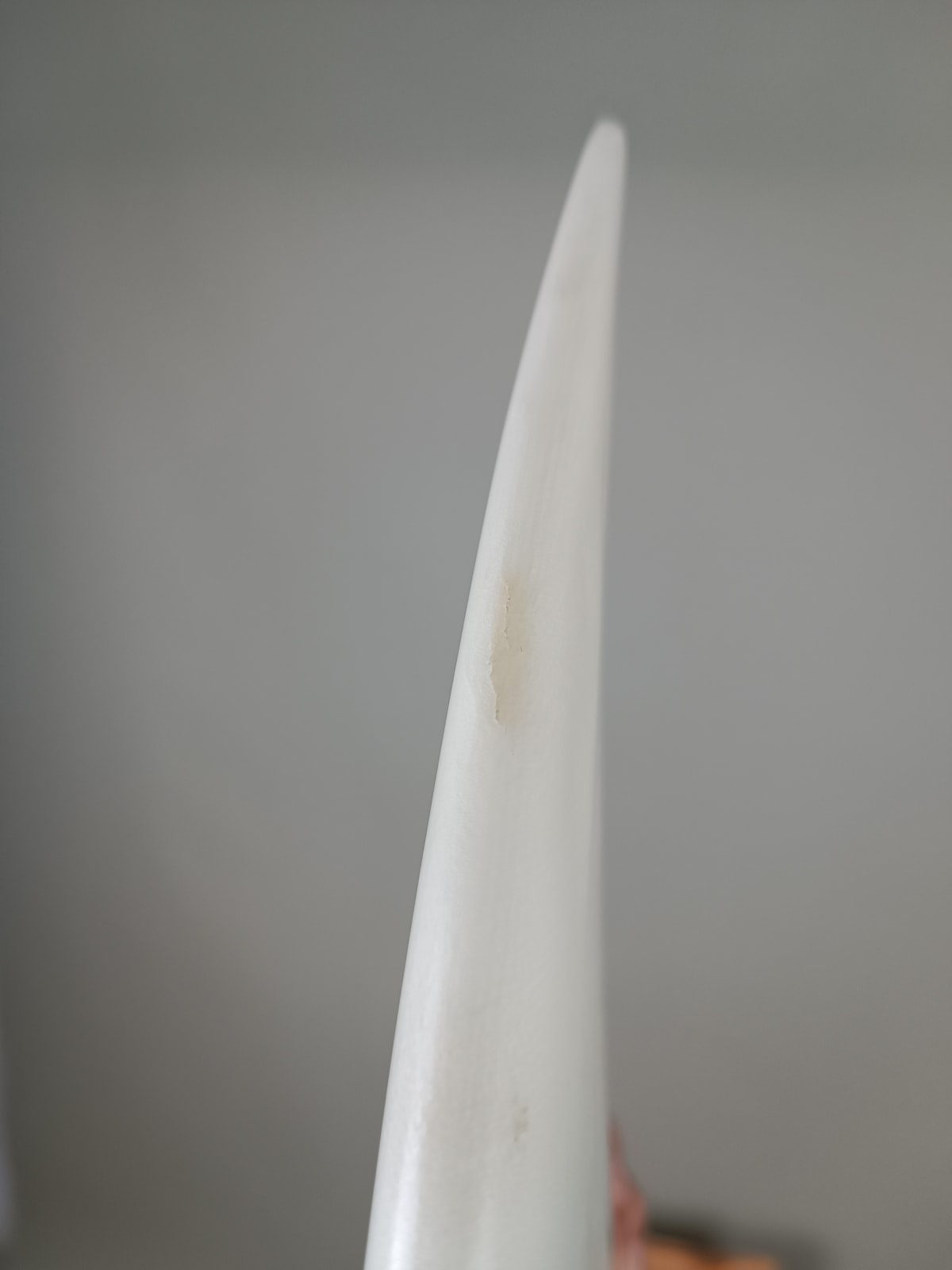 Al Merrick Febre 5'7'' | 22,7 L