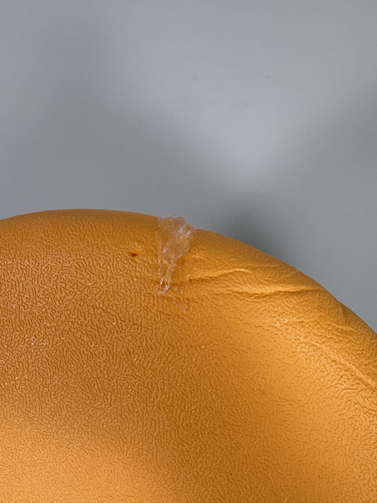 Wave Bandit Easy Rider 7'0'' | 72 L