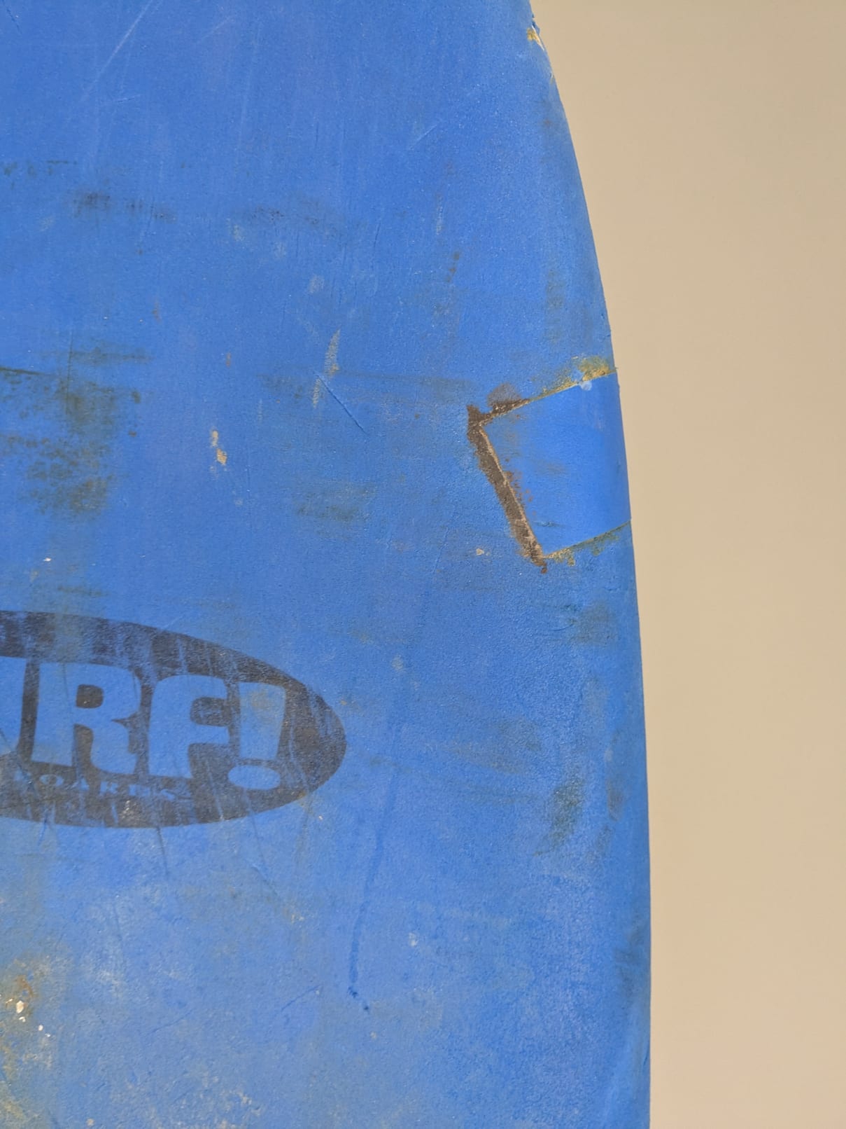 BUGZ Surf! Softboard 8'0'' | 70 L