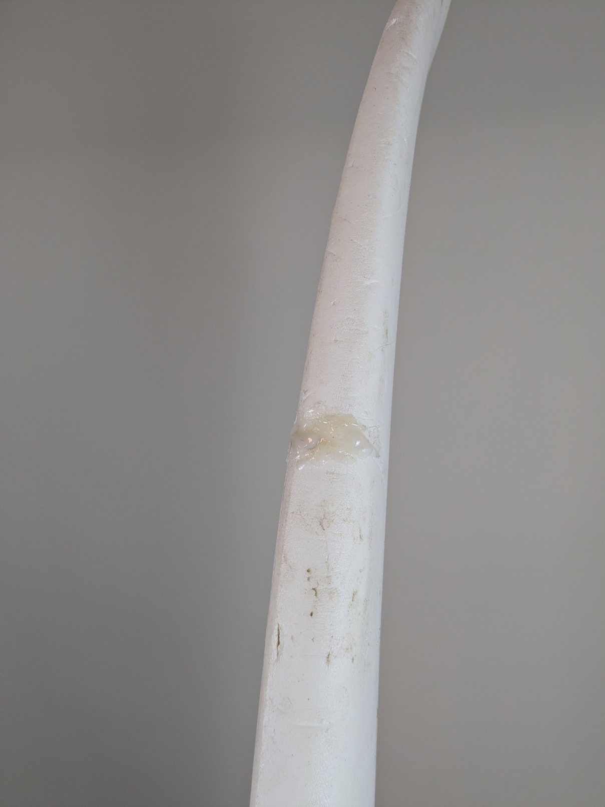 BUGZ Surf! Softboard  6'4'' | 43 L