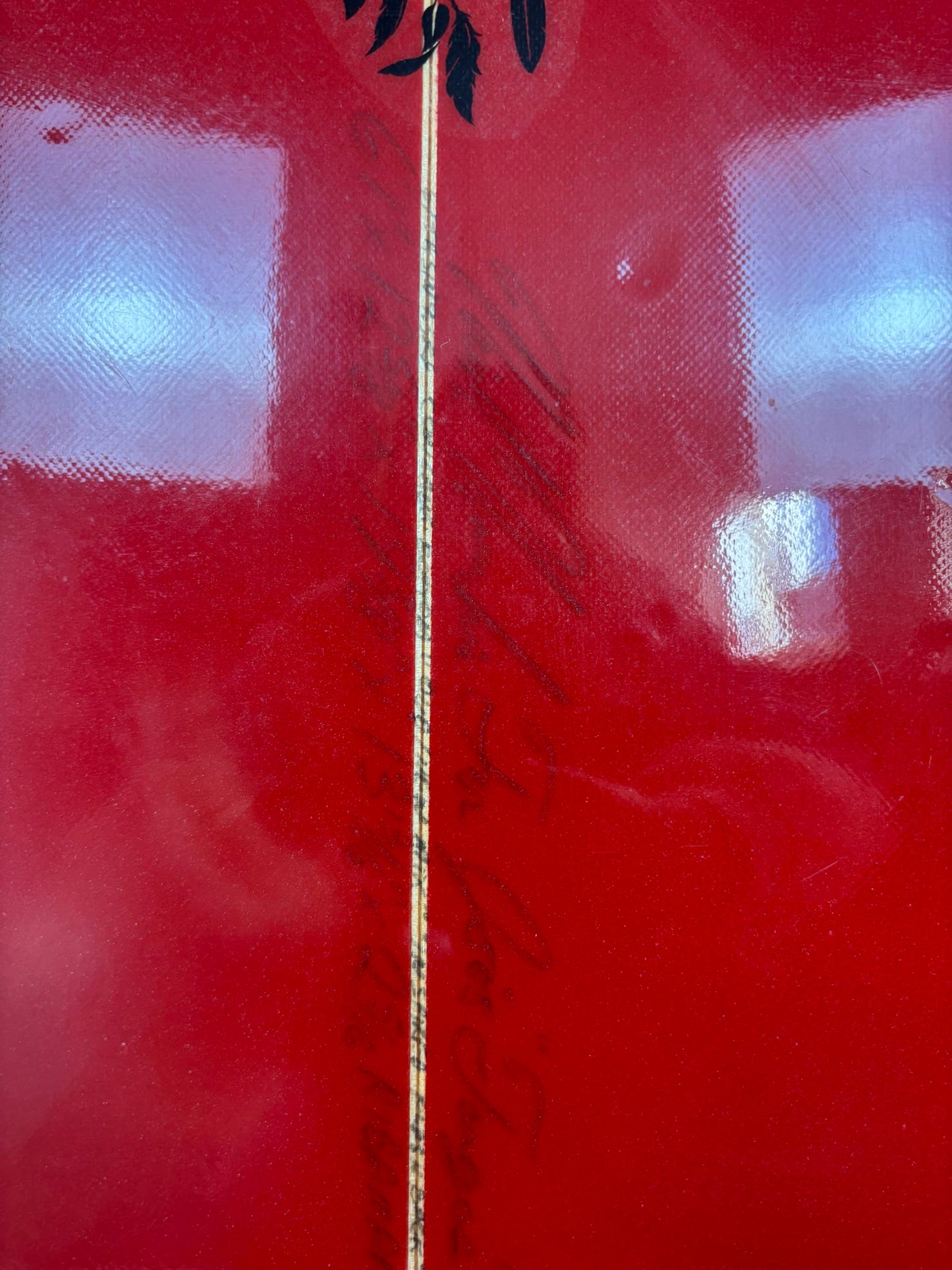 Semente Single Fin 6'1'' | 30.31 L