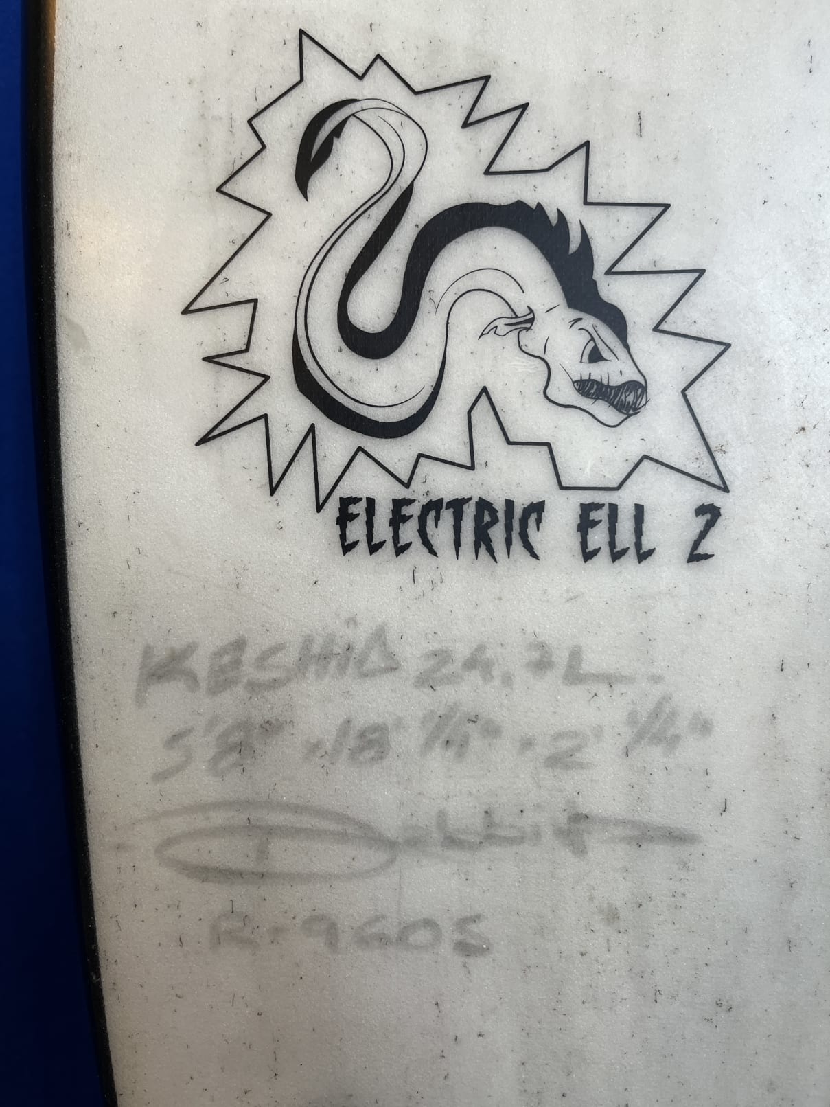ORG Electric Eel 2 5'8'' | 24.2 L
