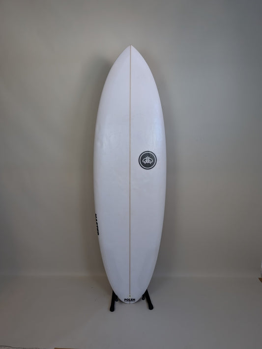 Polen Master 5'8'' | 31.6 L