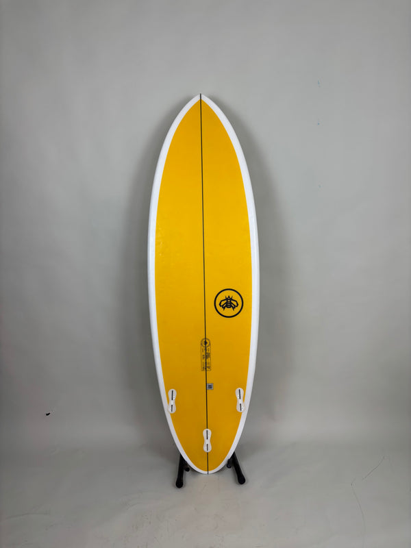 Polen Master 5'6'' | 28.6 L