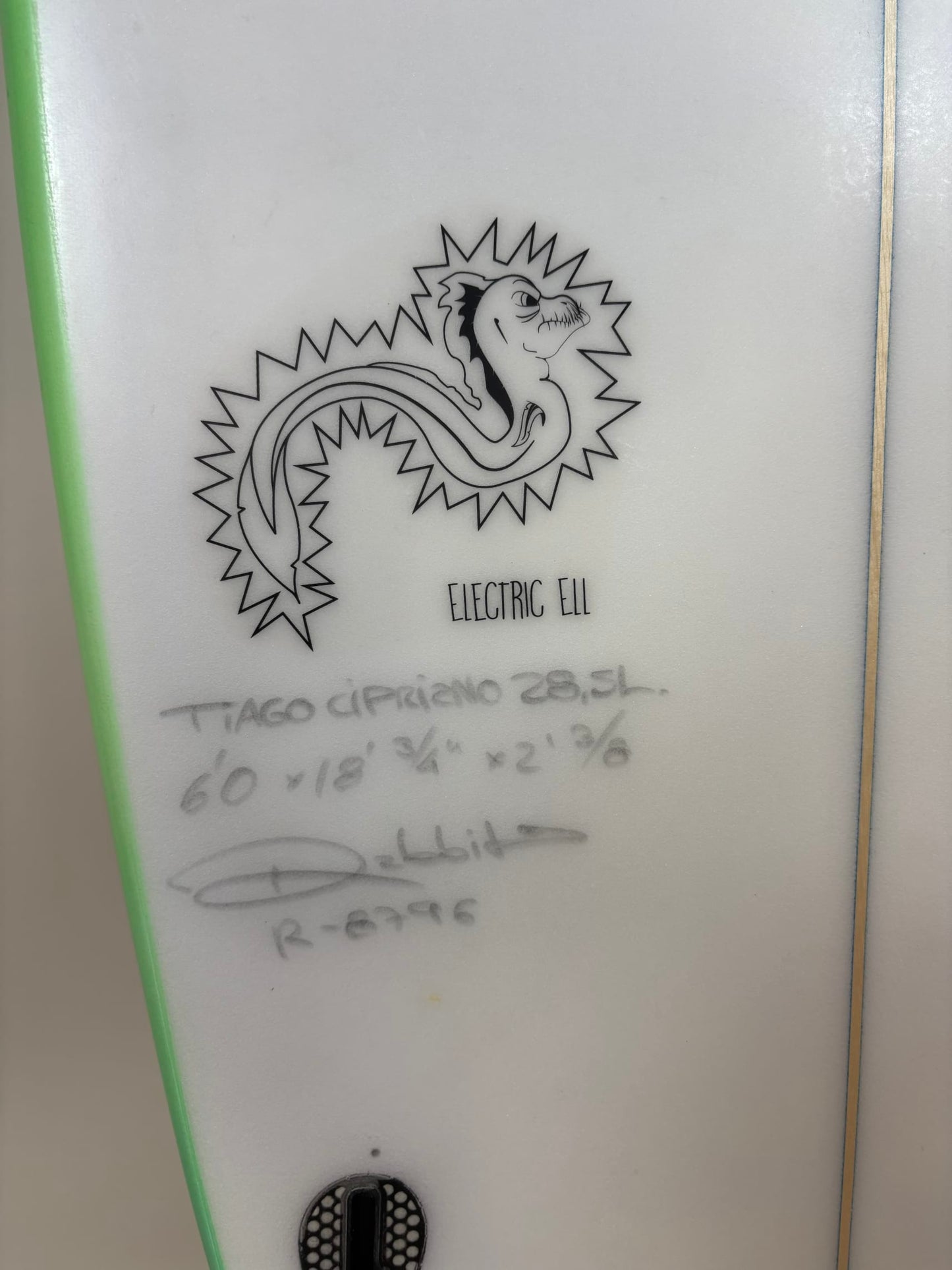 ORG Eletric Ell 6'0'' | 28.5 L