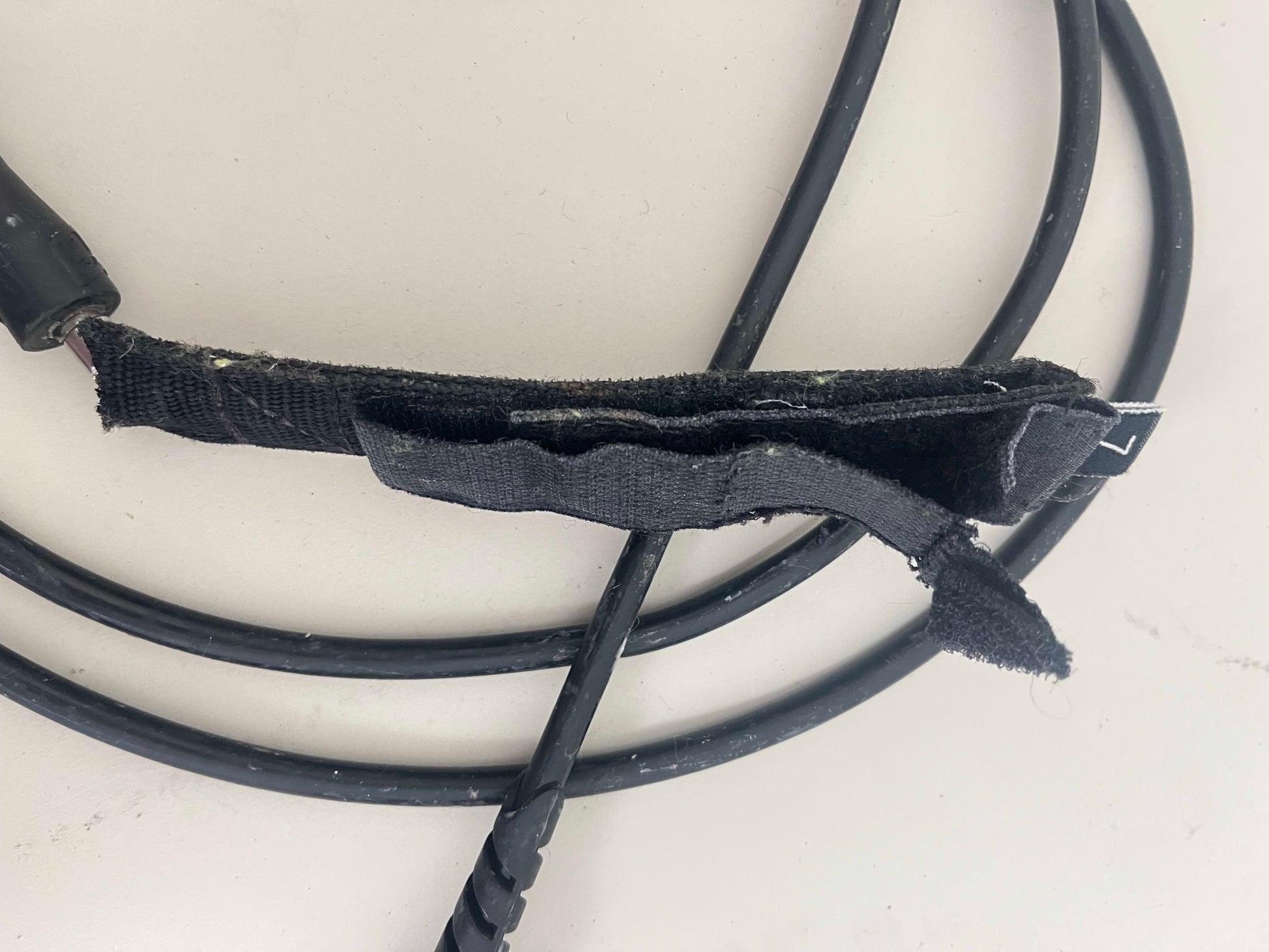 Creatures  Leash 7ft