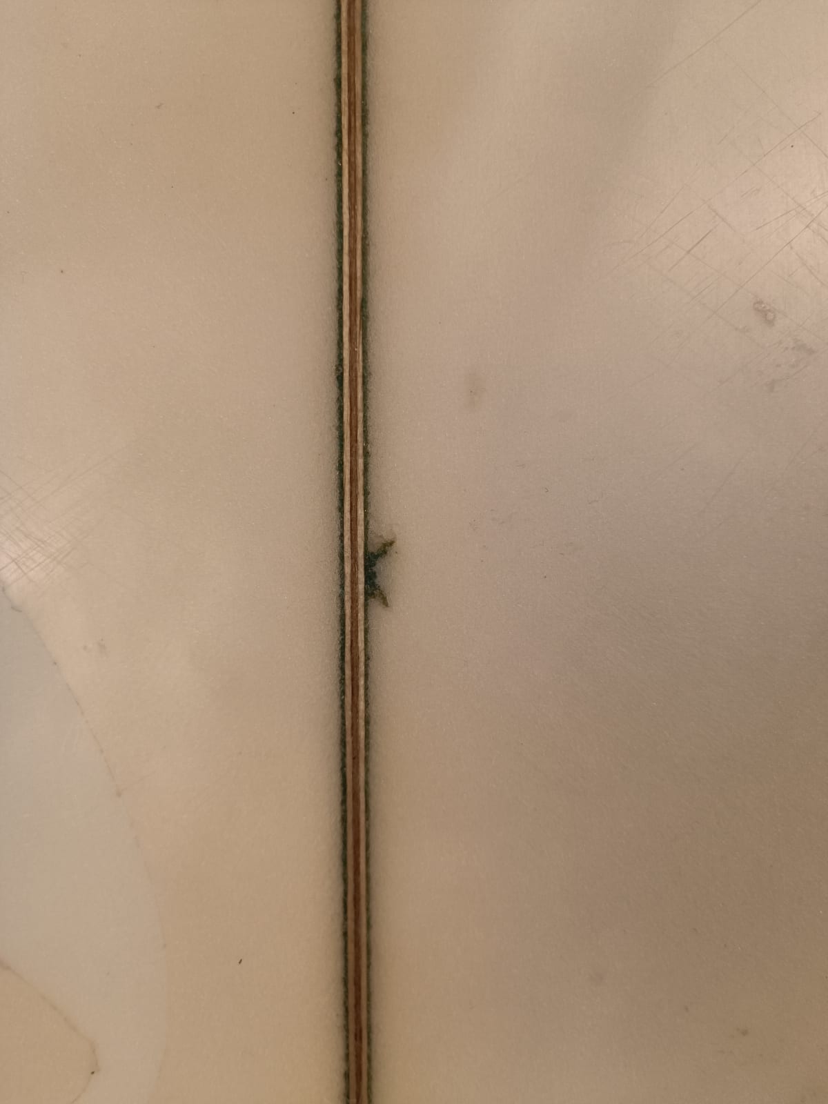 Semente  5'10'' | 28.6 L