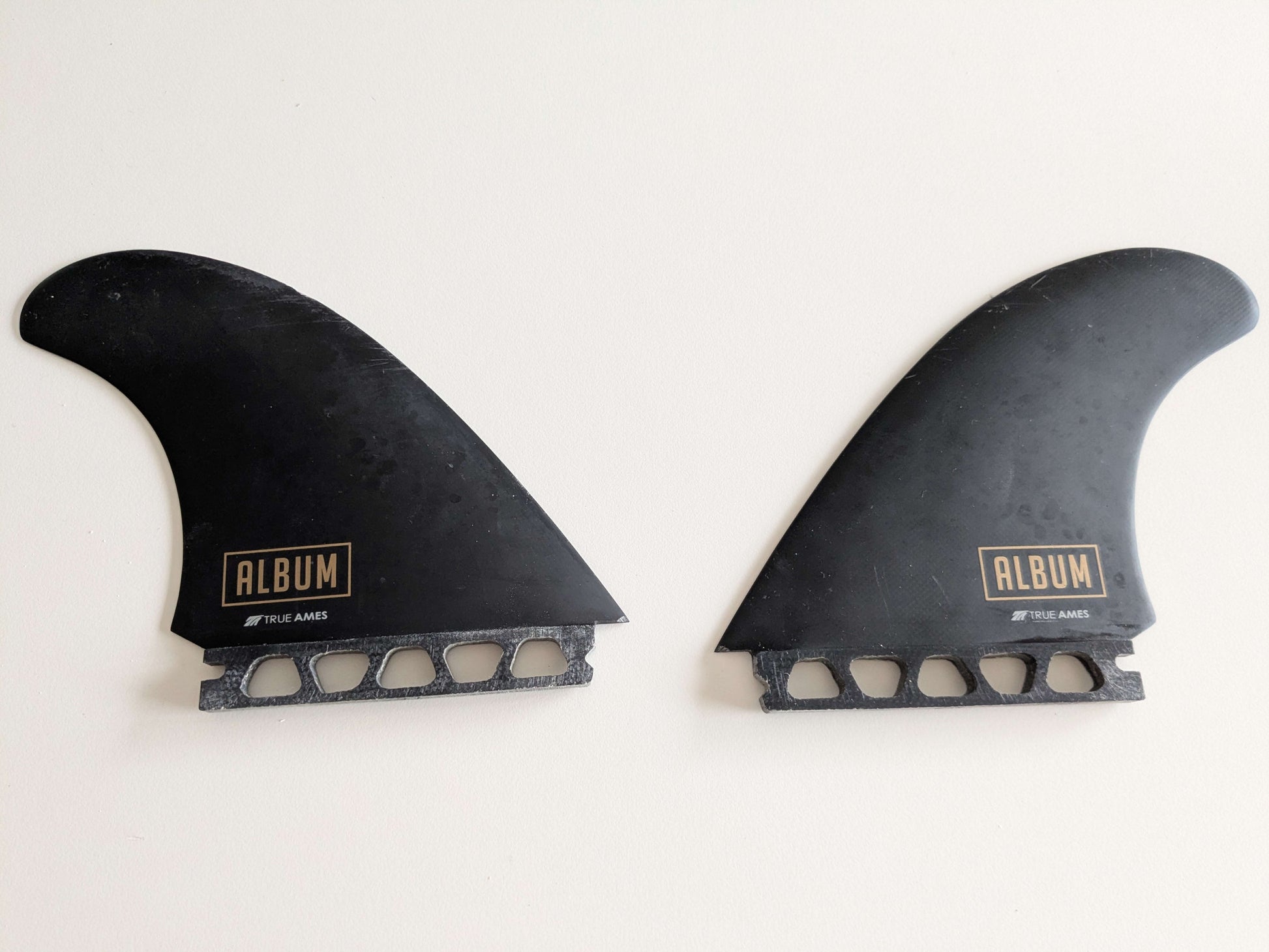 True Ames   Fins Burch Twins Album M