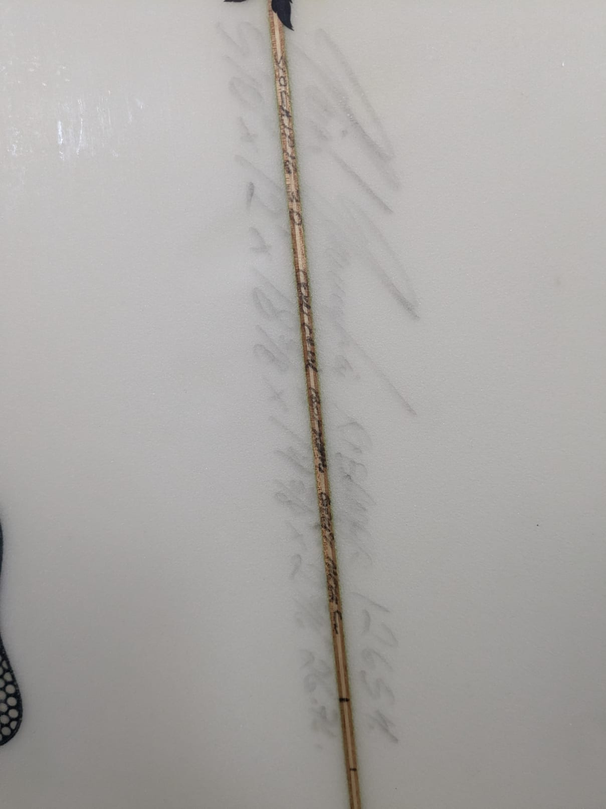 Semente Black Bird Gony 5'10'' | 26.7 L