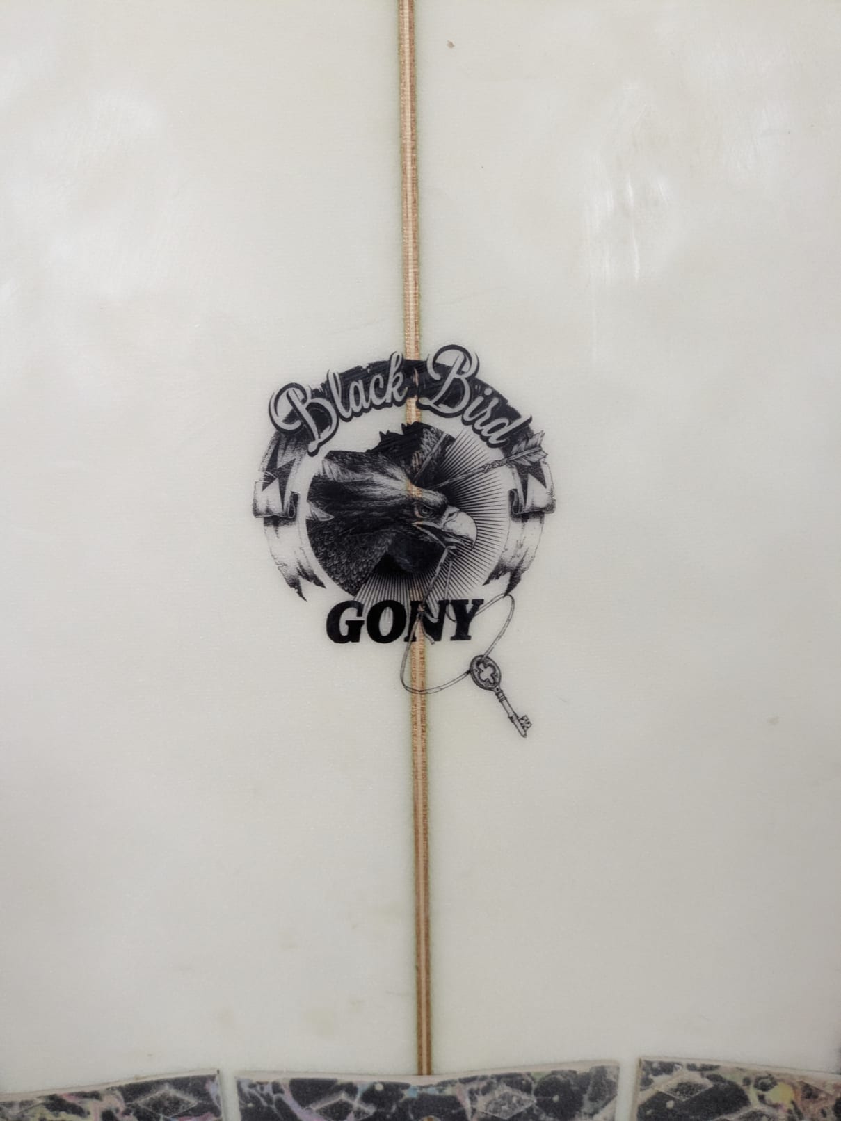 Semente Black Bird Gony 5'10'' | 26.7 L