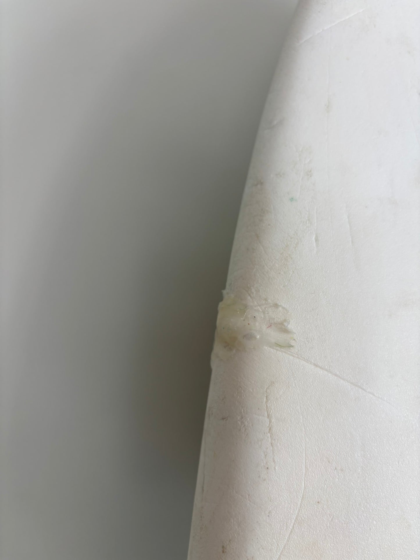 BUGZ Surf! Softboard  6'4'' | 43 L