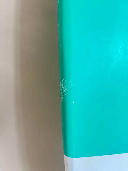 Flowt Flow Rider Mini Malibu 6'0'' | 39.5 L