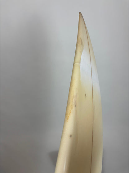 Al Merrick MBM.II 5'11'' | 25 L