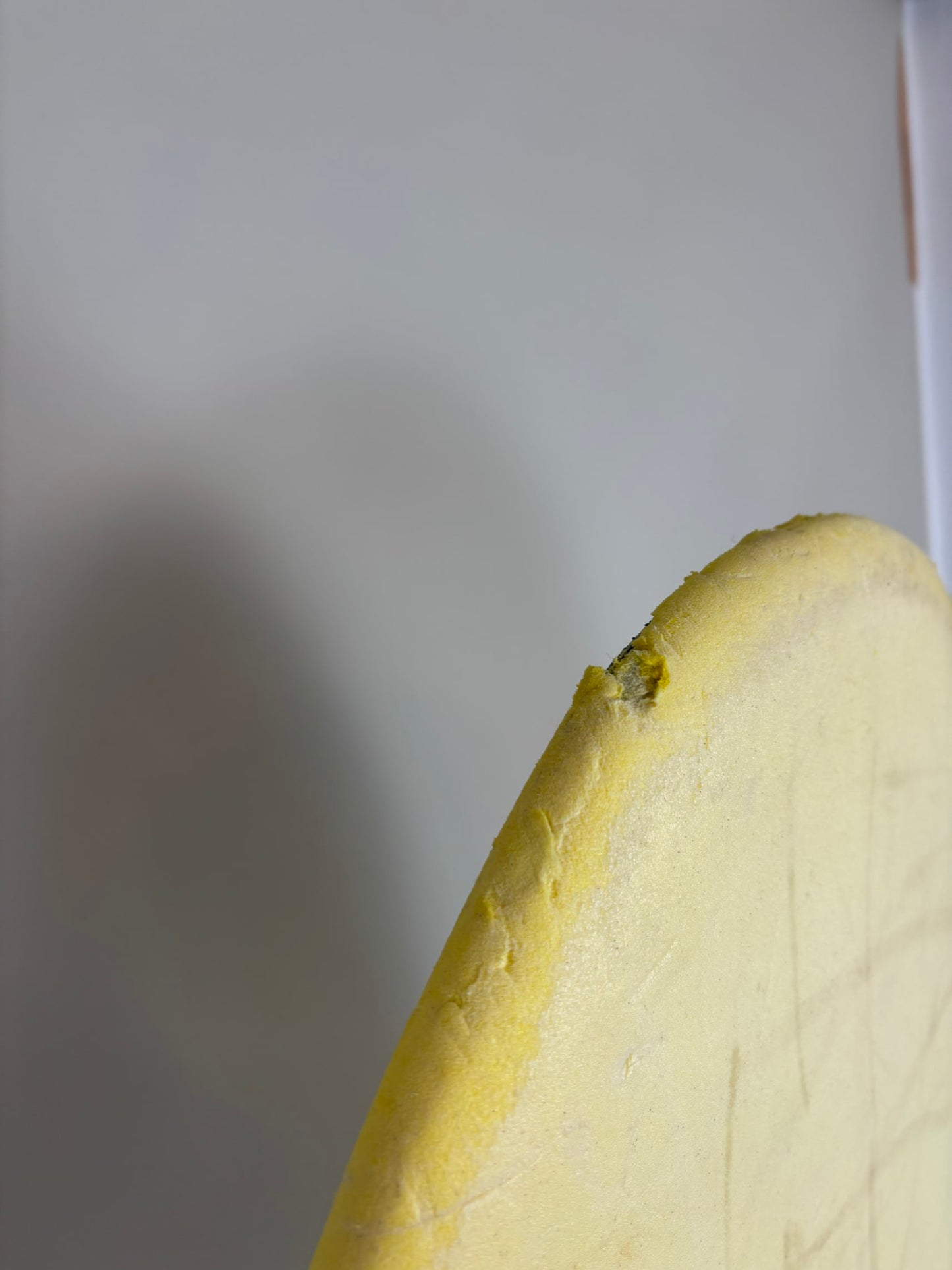BUGZ Surf! Softboard  6'8'' | 50 L